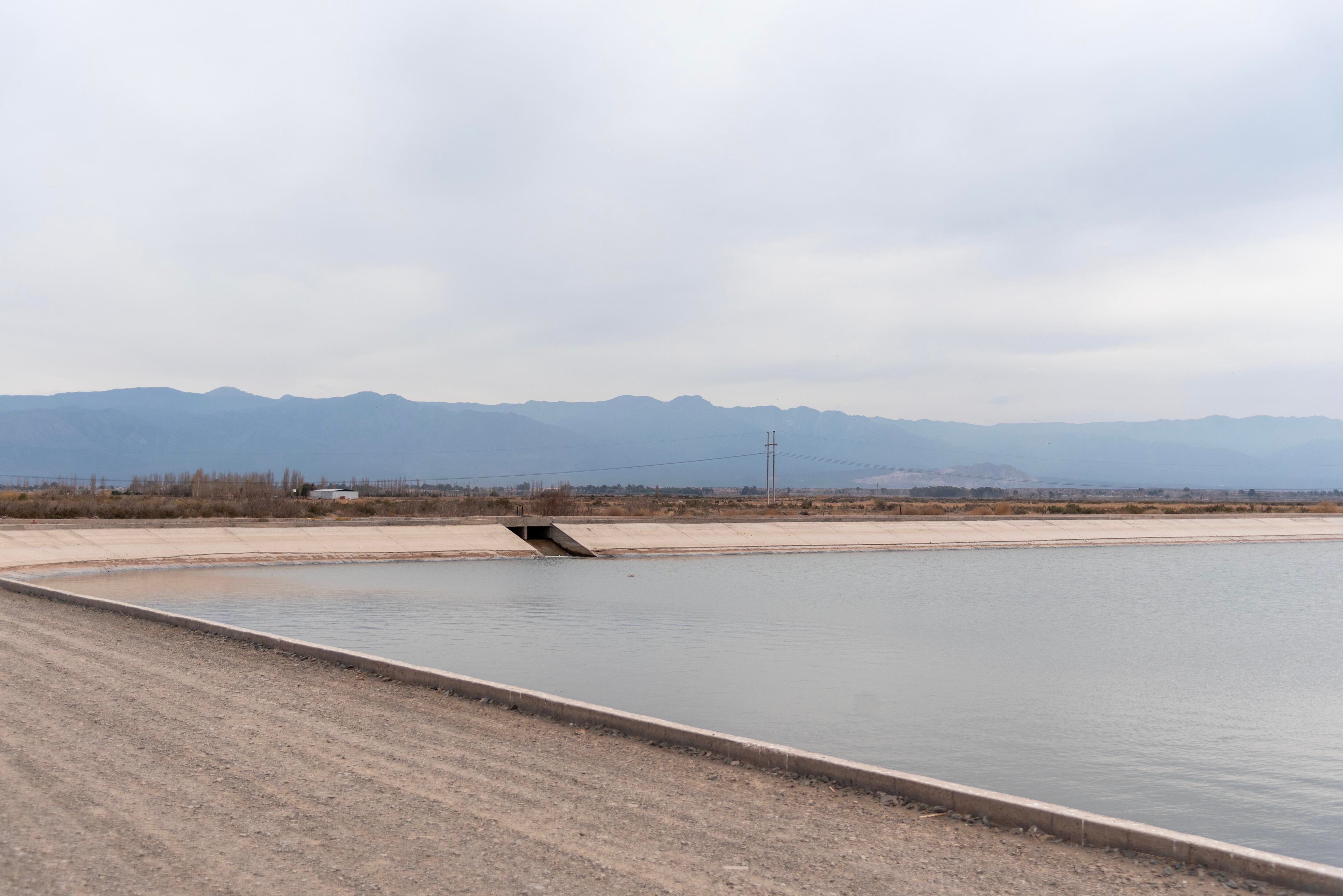 Reforestación: se plantarán 756 árboles en una obra que Irrigación inauguró en marzo