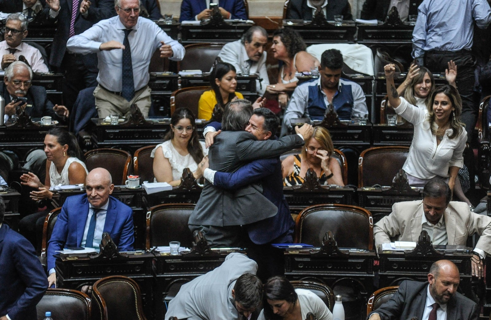 El Gobierno celebró la aprobación en general de la ley Bases en la Cámara de Diputados. / Foto: Federico López Claro