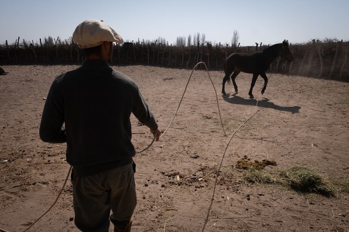 Foto: Ignacio Blanco / Los Andes