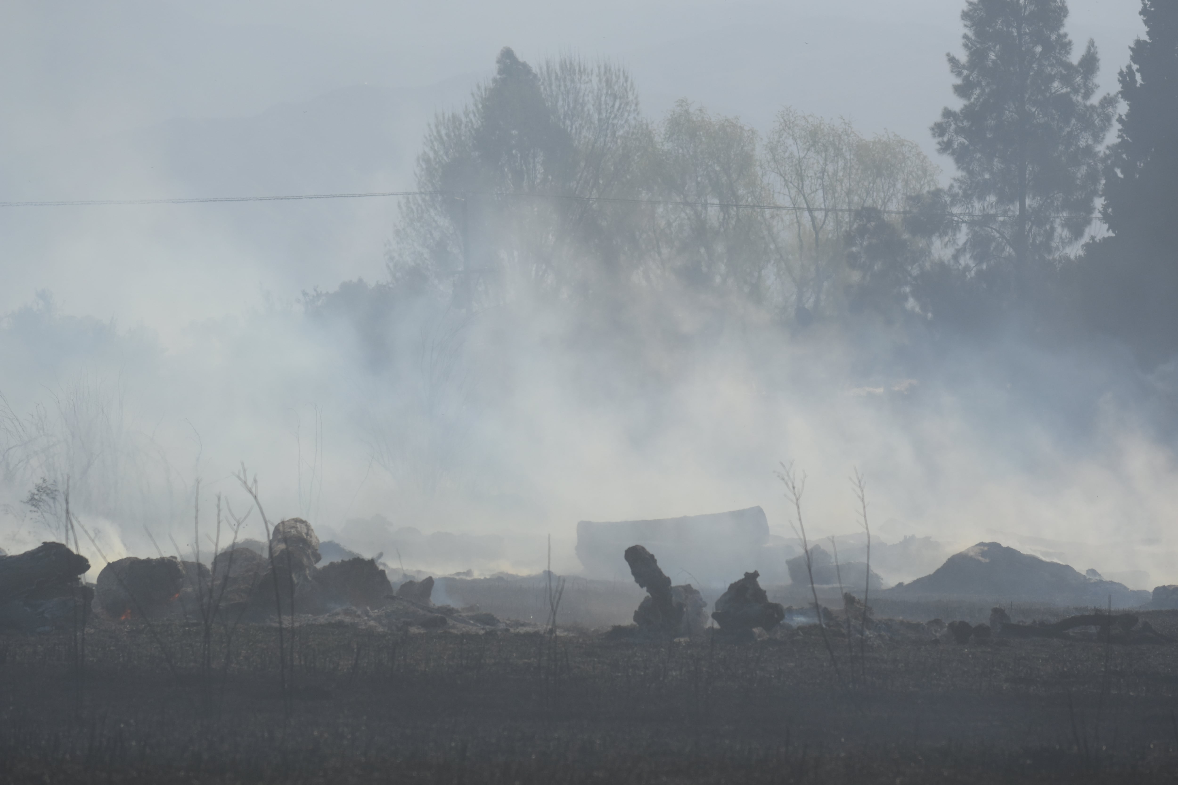 Humo y cenizas en zonas incultas de Guaymallén.