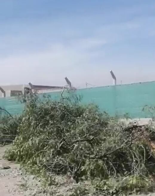 Enojo vecinal: talaron 12 árboles históricos sobre Avenida Champagnat para construir una iglesia. Foto: Captura Video.