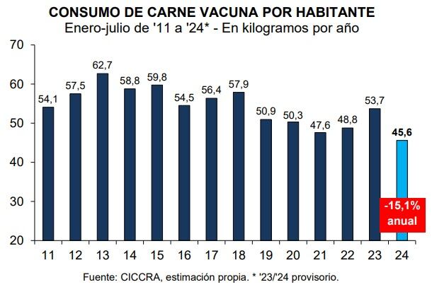 Consumo de carne vacuna 2024.