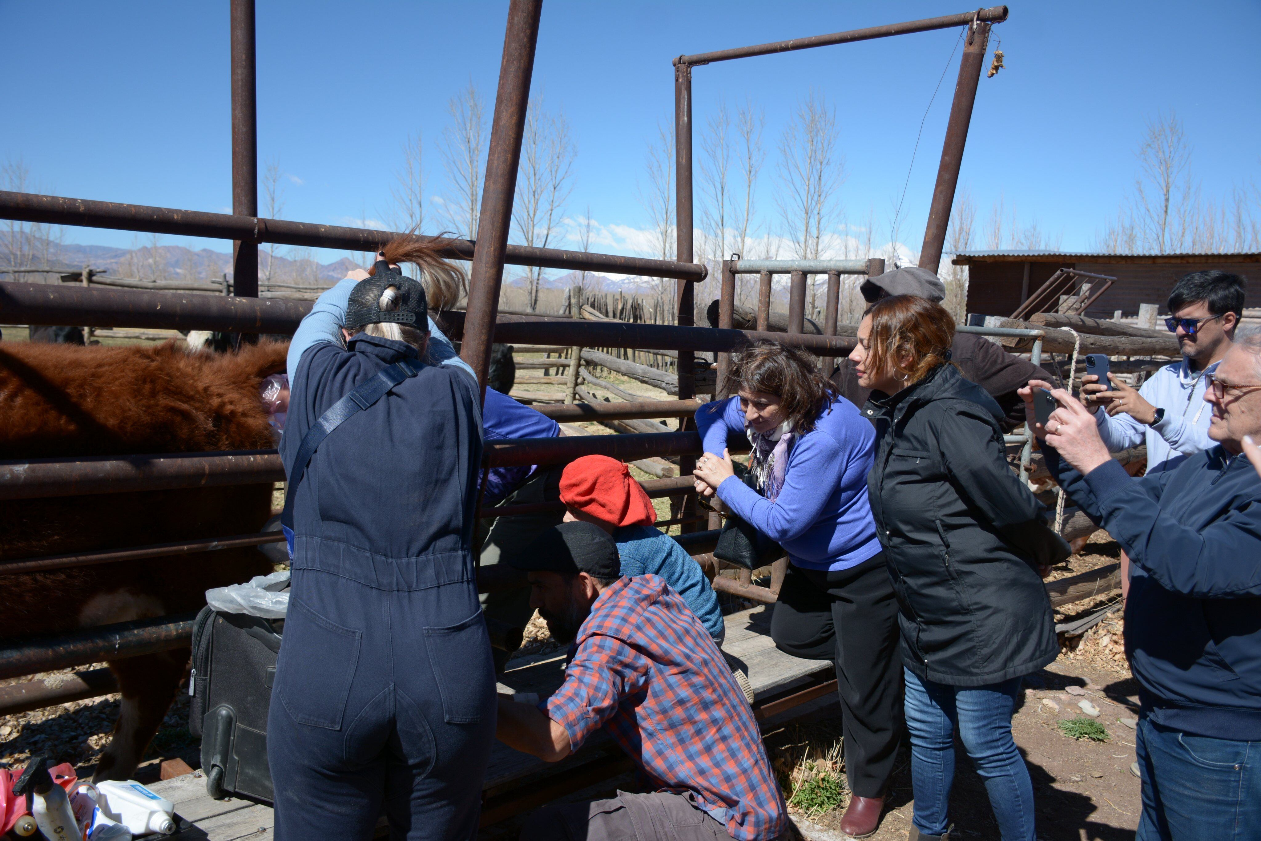 La presidenta del Conicet, Ana Franchi, visitó Uspallata para supervisar los avances de este proyecto que apalanca un enfoque social y también de sostenibilidad ambiental.