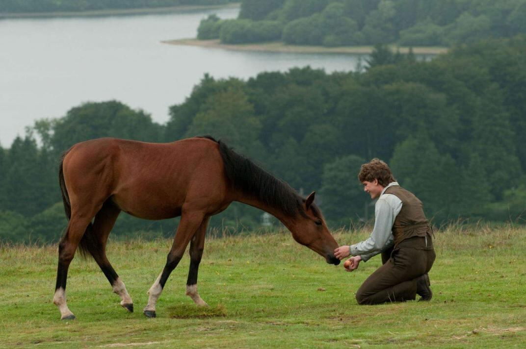 "Caballo de guerra", de Steven Spielberg.