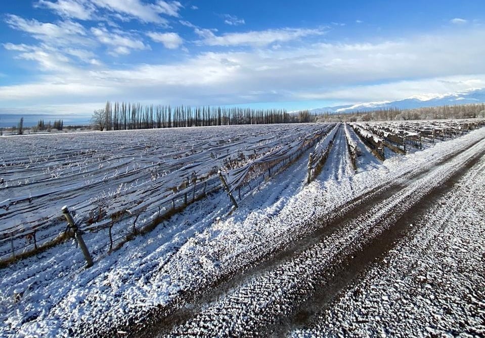 Tupungato amaneció cubierto de nieve y por el hielo en la calzada muchas rutas estuvieron cerradas varias horas.