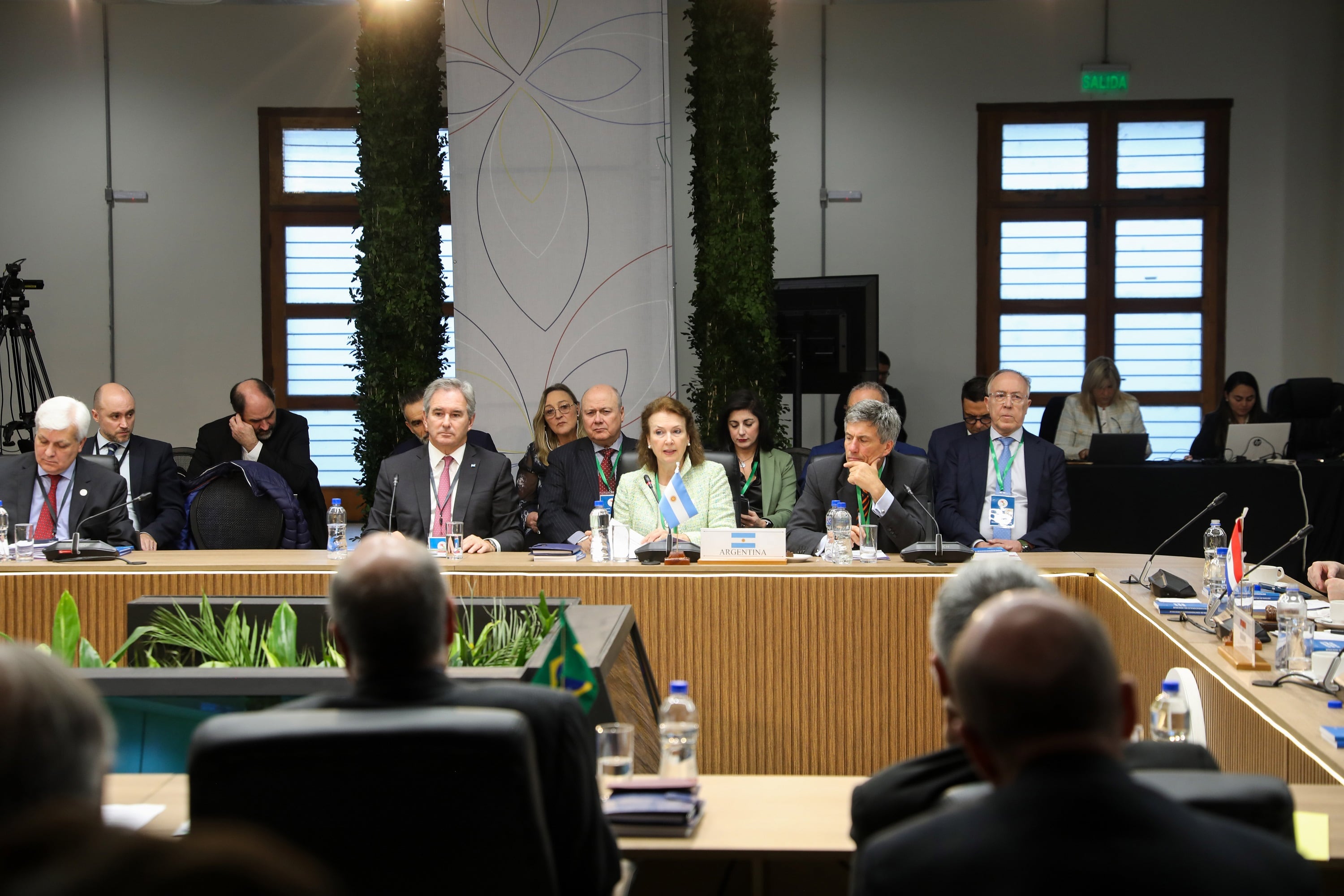 Mondino en las sesiones plenarias del Consejo Mercado Común del Mercosur en Paraguay.