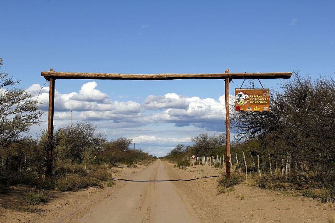 La reserva de Nacuñán ofrece 12 hectáreas para observar la fauna y la flora.