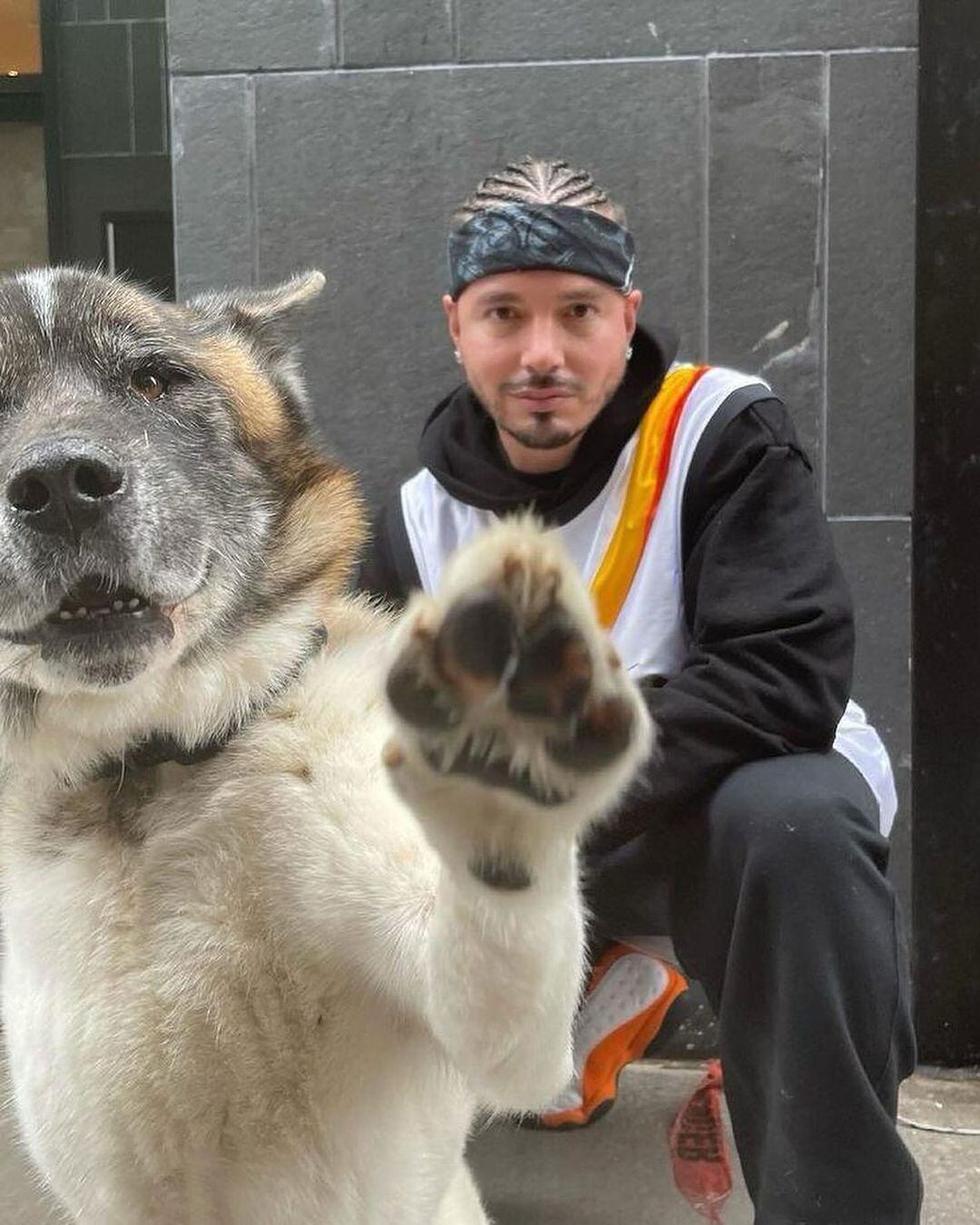 El sentido posteo de JBalvin sobre su perro Enzo. / Instagram