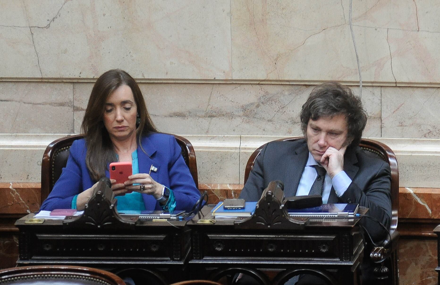 
Javier Milei y Victoria Villarruel, durante una sesión en la cámara de Diputados por la Ley de Alquileres e Iva/ Foto Federico Lopez Claro