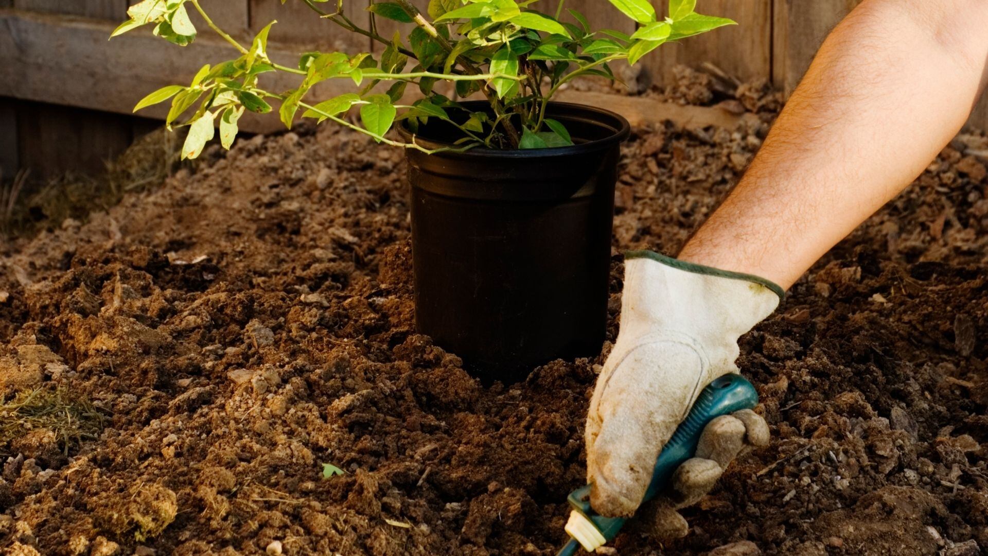 Jardinería