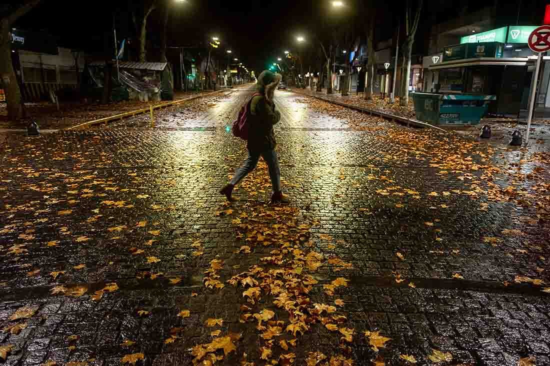 Las calles del la ciudad de Mendoza amanecieron con un colchón de hojas color ocre