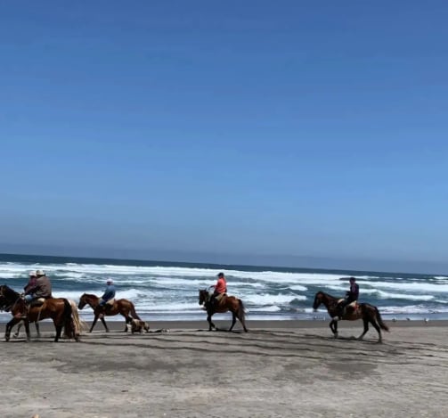 Dónde queda y cómo llegar a Ritoque, la tranquila playa de dunas y bosques a menos de una hora de Reñaca. Foto: Instagram @chiledreamtours