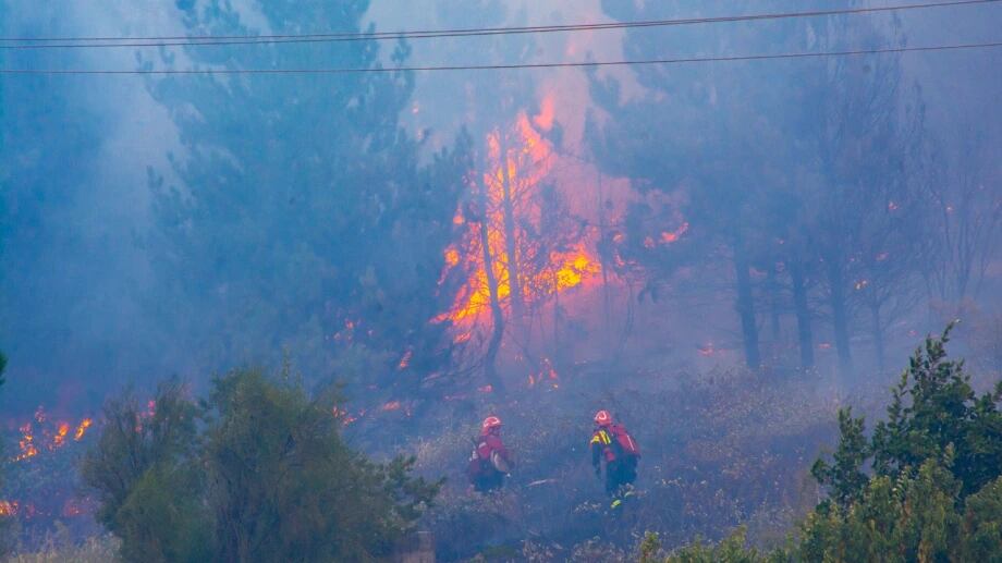 Incendio forestales en Chubut. Foto: Municipalidad de El Hoyo