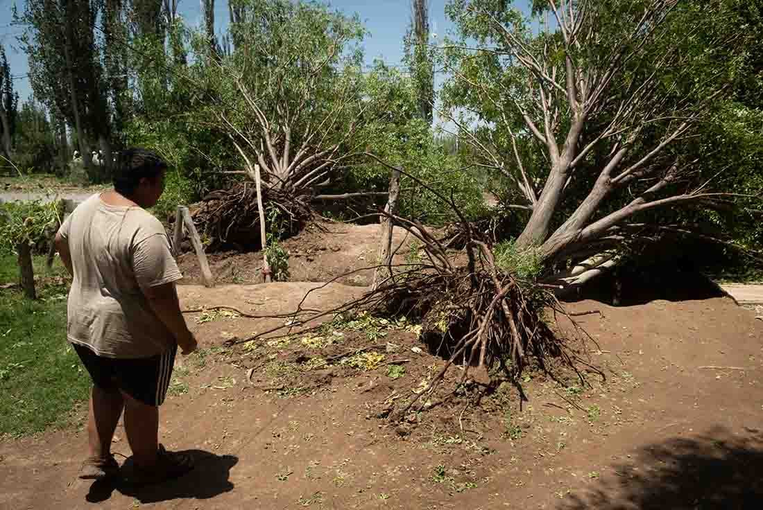 Fuertes vientos y caída de granizo sobre viviendas y terrenos cultivados, 
afectó unas 17 mil hectáreas productivas de Lavalle y zona Este.  Foto: Ignacio Blanco