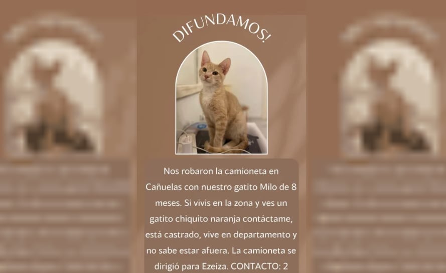 Las víctimas del robo buscan a Milo. Foto: NA