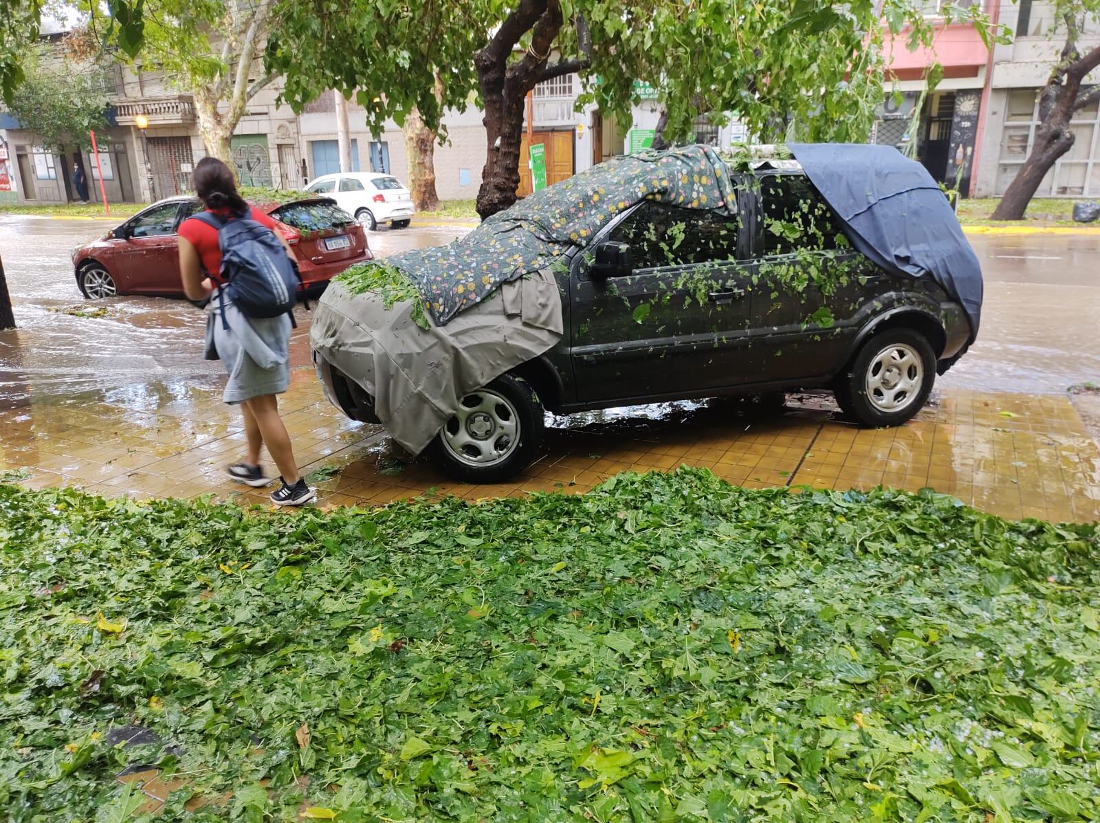 Autos protegidos para evitar los daños