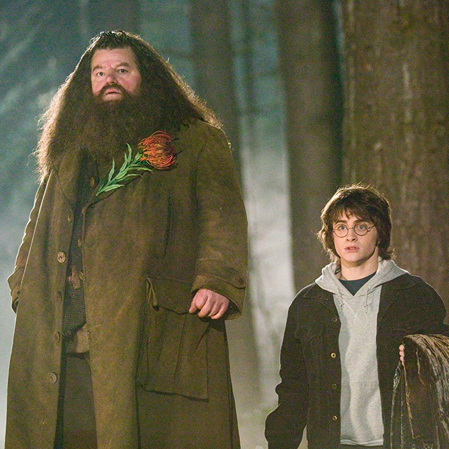 Hagrid, el adulto que más cuidó a Harry Potter - 