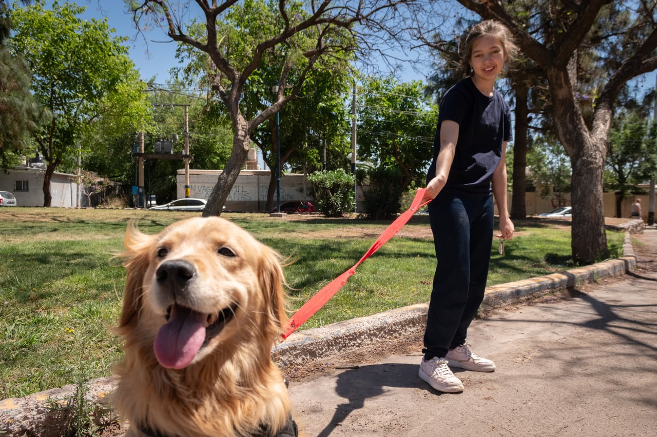 Dolphin y Alaska, los perros que le cambiaron la vida a dos estudiantes con discapacidad. Foto: Ignacio Blanco / Los Andes