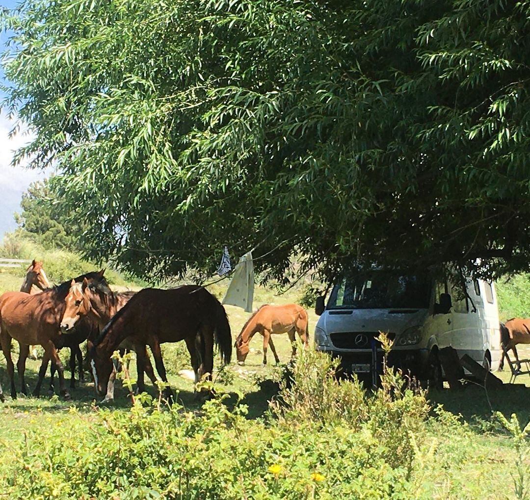 Las fotos del viaje en motorhome de Boy Olmi y Carola Reyna por Mendoza.