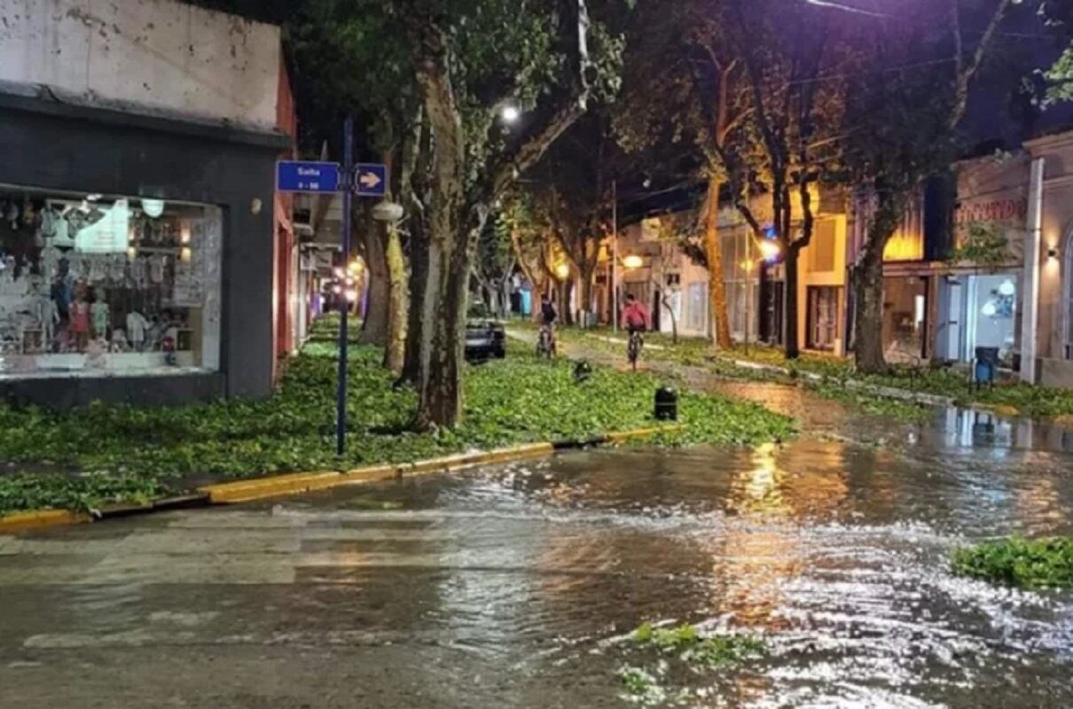 Granizo en San Luis: un muerto, varios heridos y autos destrozados (Gentileza / El Chorrillero)