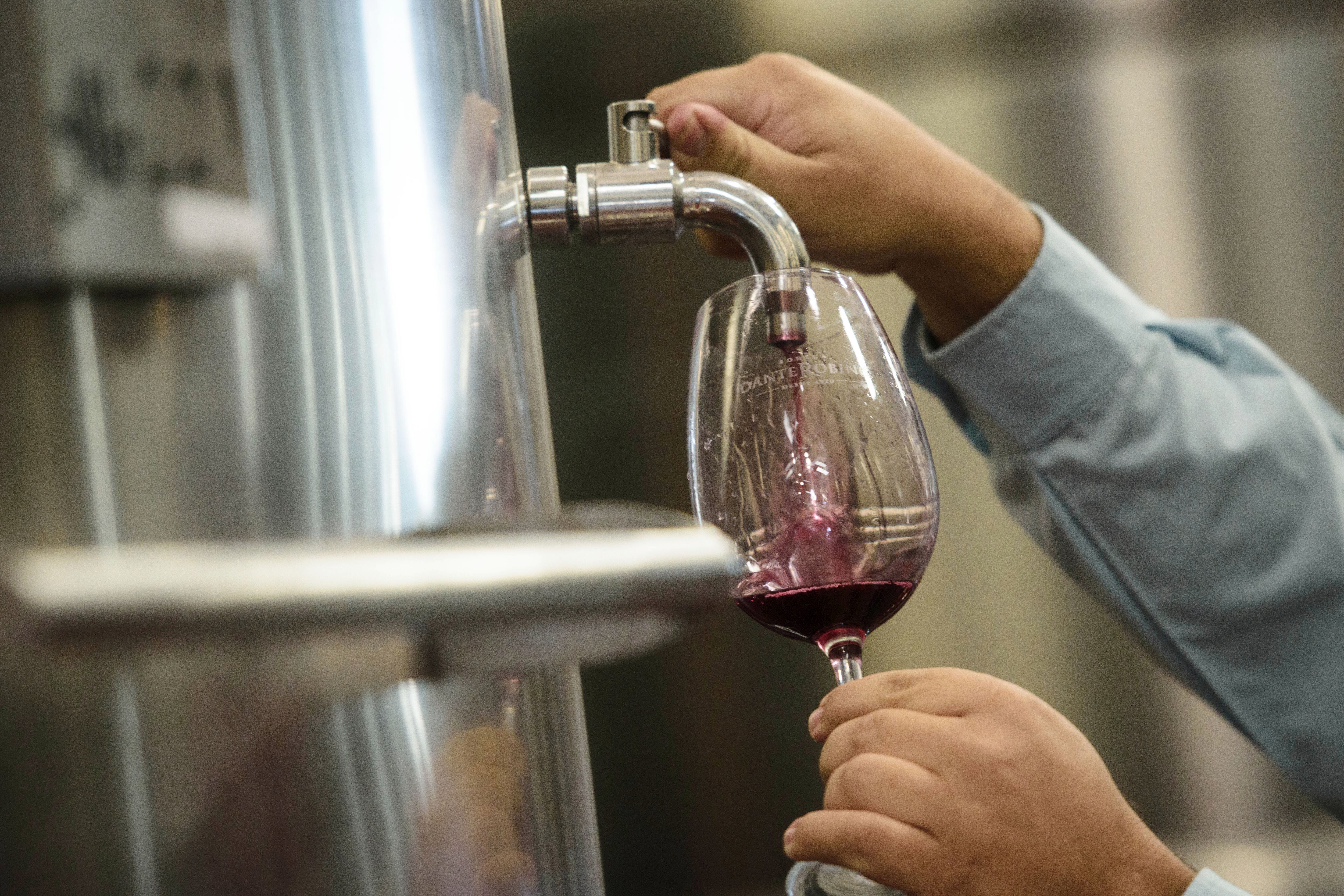 Mendoza 22 Marzo de 2018  Cosecha 
Bodega Dante Robino
Sala de tanques de acero inoxidable que contienen Malbec 
Foto: Ignacio Blanco/  Los Andes 