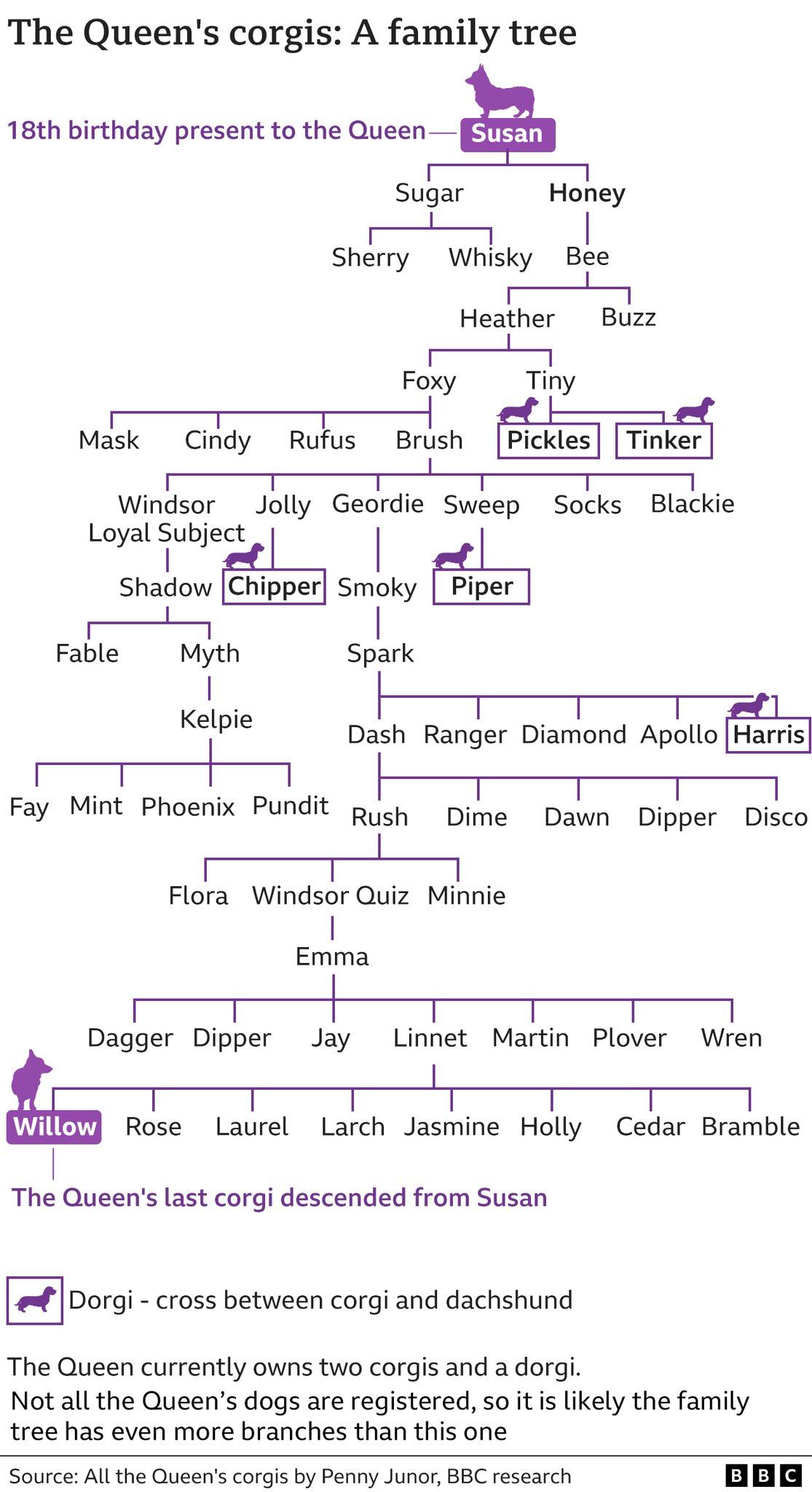 El curioso árbol genealógico de los perros de la Reina Isabel II.