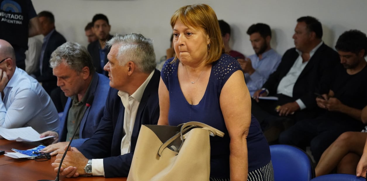 Graciela Ocaña, el año pasado, en la Comisión Juicio Político contra los integrantes de la Corte Suprema Justicia. Foto: Clarín