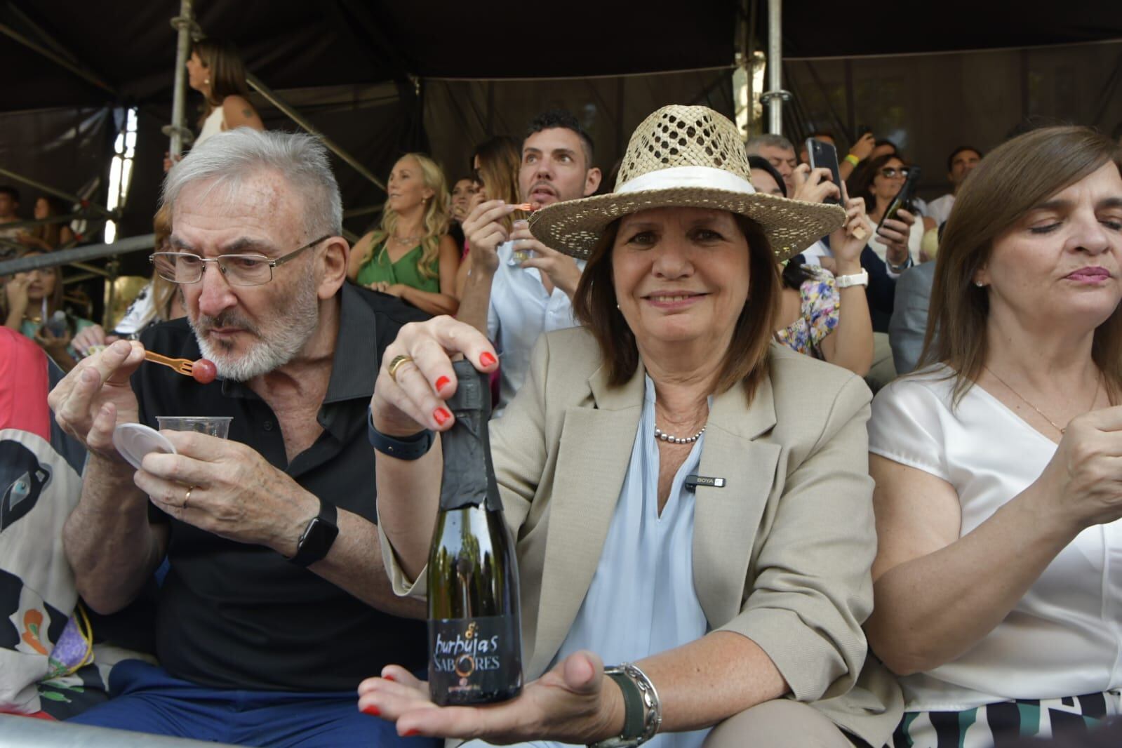 Patricia Bullrich, presidenta del PRO, estuvo en el palco del Carrusel con mucho entusiasmo y buena onda (Foto: Orlando Pelichotti / Los Andes)