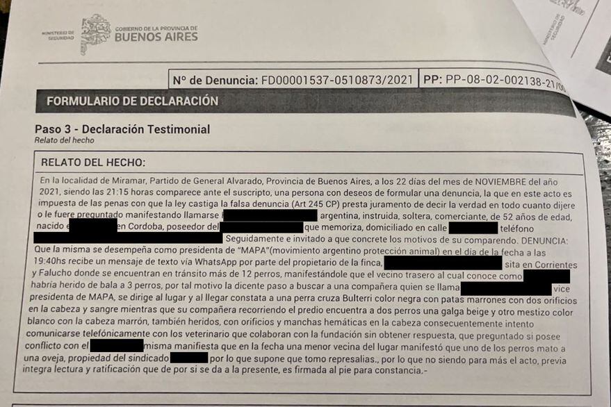 Un hombre disparóa a la cabeza de tres perritos y los canes quedarán con secuelas. La Nación.