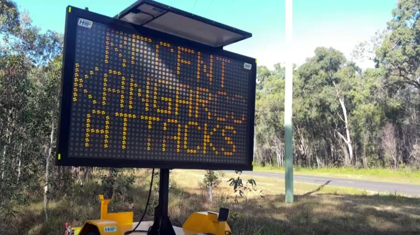 Vecinos de un pueblo australiano viven momentos de tensión debido a la invasión de canguros.