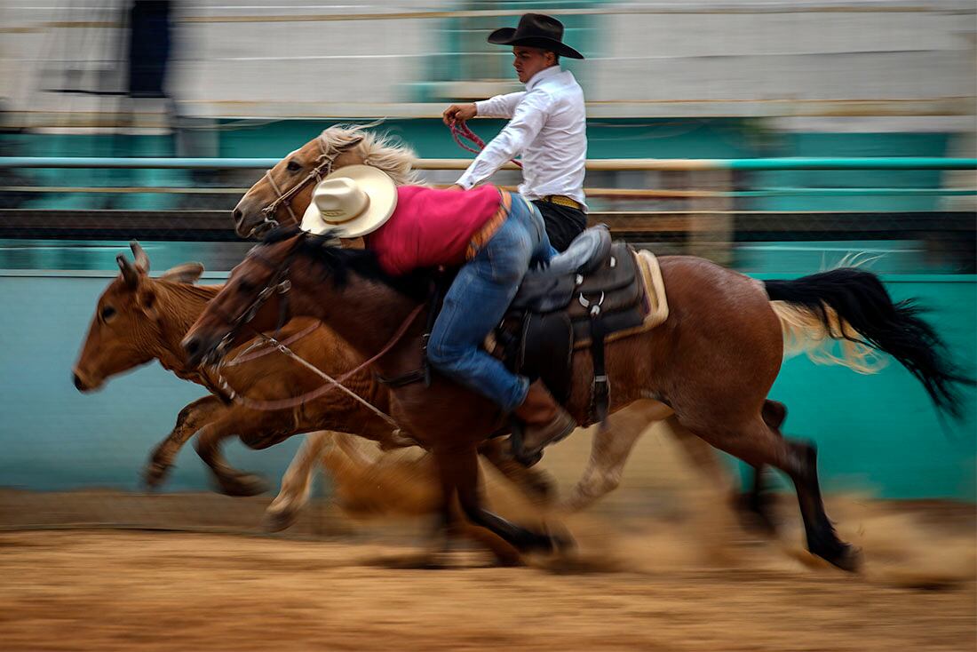 Vaqueros cubanos compiten en una prueba en el rodeo de la feria de Boyeros, durante la Feria Agrícola Internacional Fiagrop 2022, en La Habana, Cuba, el 8 de abril de 2022. En Cuba, los rodeos tienen más de dos siglos de historia. (AP Foto/Ramón Espinosa)