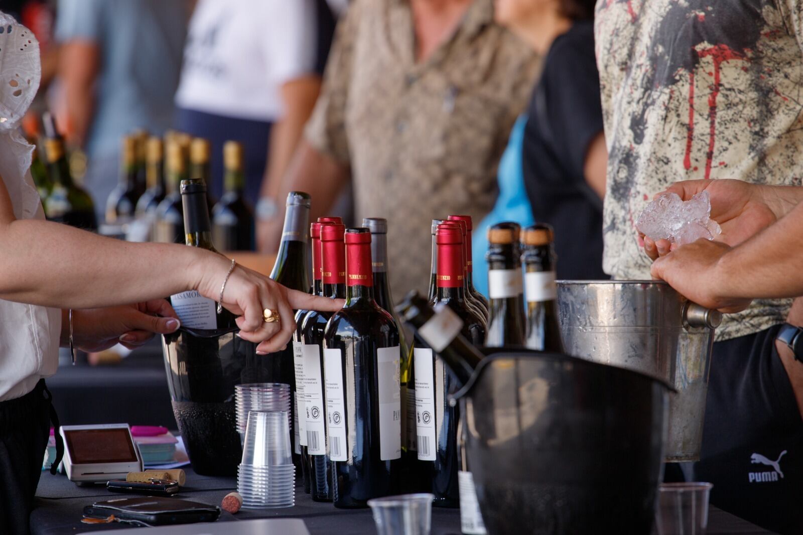 Maipú celebró con éxito la Gran Feria del Vino en la Estación Gutiérrez