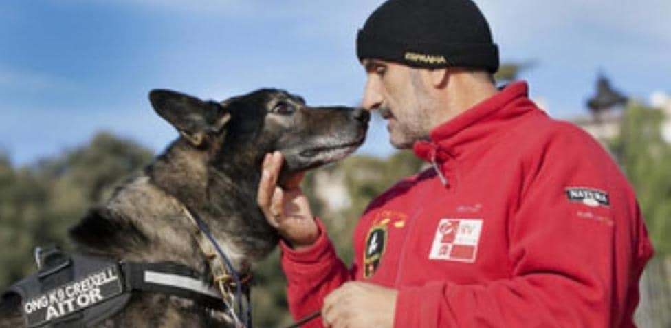 La impactante vida de Pedro Frutos, el rescatista que estuvo en 18 terremotos en todo el mundo con sus perros. Foto: Gentileza