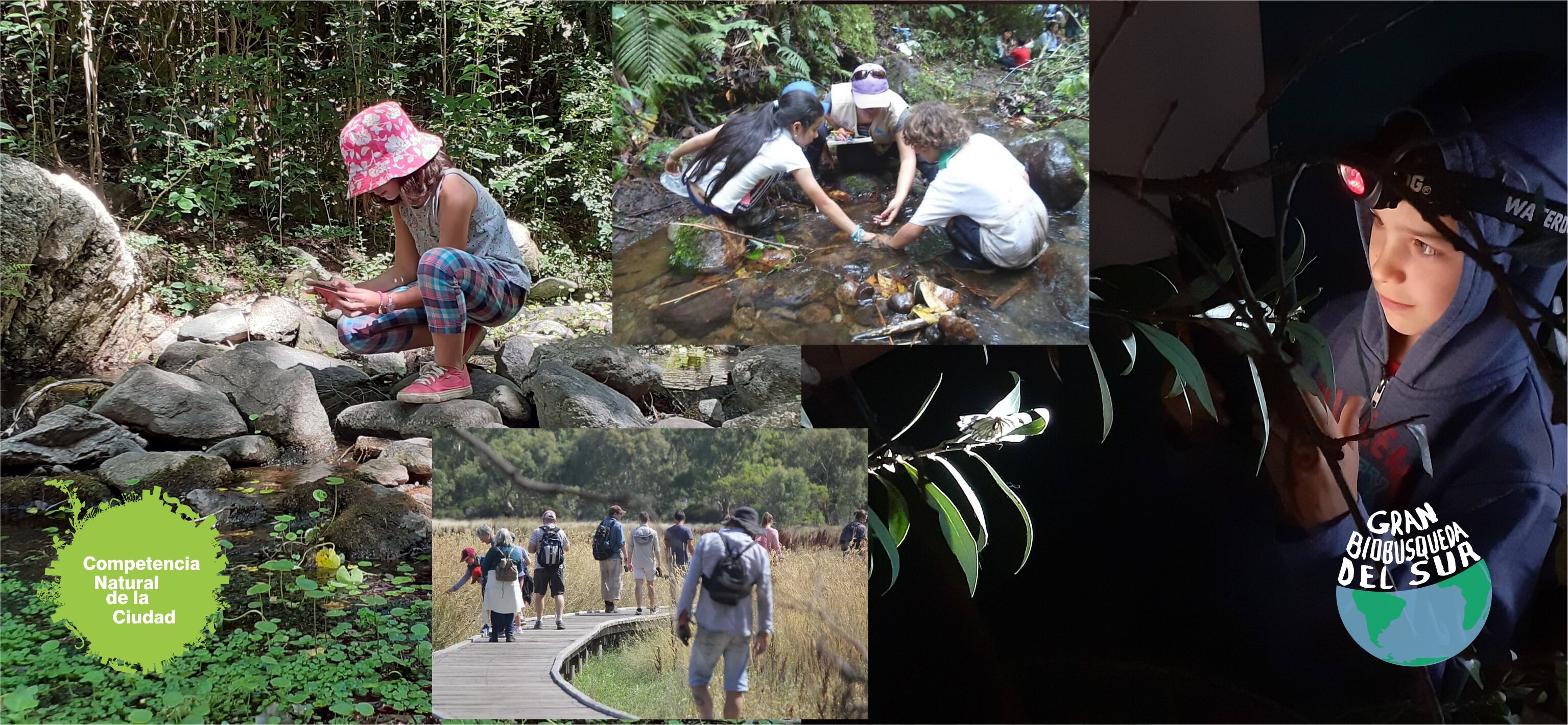 Se han descubierto nuevas especies a través de la plataforma iNaturalist, como la planta llamada Meloncillo de Naturalista (Gonolobus naturalistae) nombrada en homenaje a la plataforma de ciencia ciudadana Naturalista en Mexico, la Rana arlequín fronterizo (Atelopus fronterizo) descubierta en la selva tropical de Colombia, al igual que nuevas ocurrencias de especies que no habían sido registradas en algunos países con el escarabajos Pathenium ( Zygogramma bicolorata ) en Sri Lanka