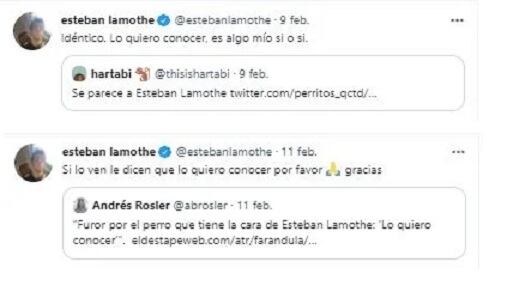 Esteban Lamothe y su reacción divertida ante un perro perdido que es igual a él