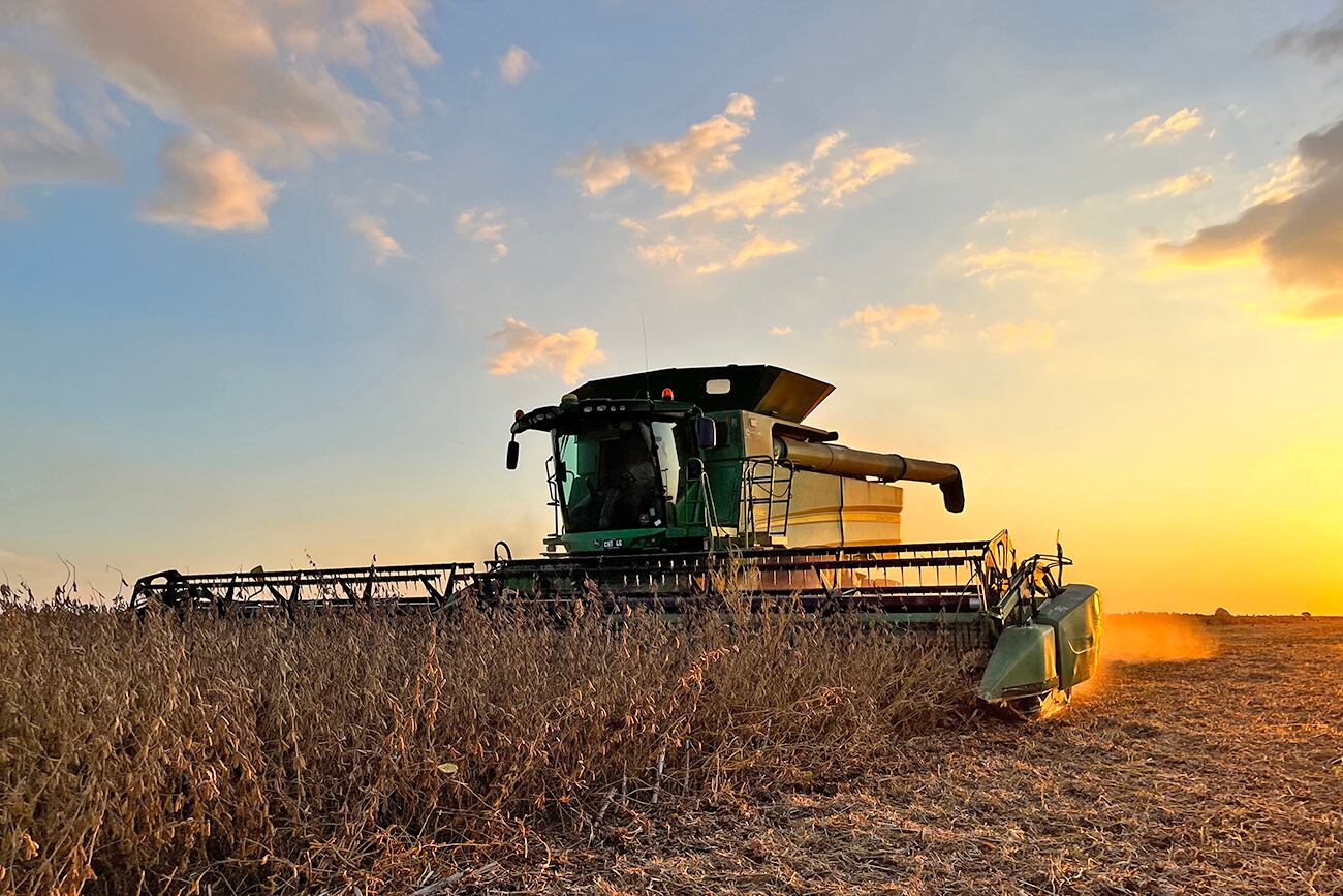 Agro, cosechadora, soja, campo. (Fotos Tomy Fragueiro/La Voz)