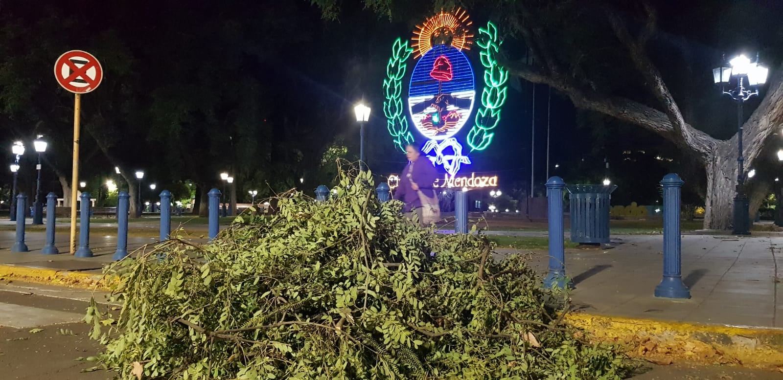 Lo que el Zonda dejó en Mendoza: ramas en la plaza Independencia (Orlando Pelichotti / Los Andes)