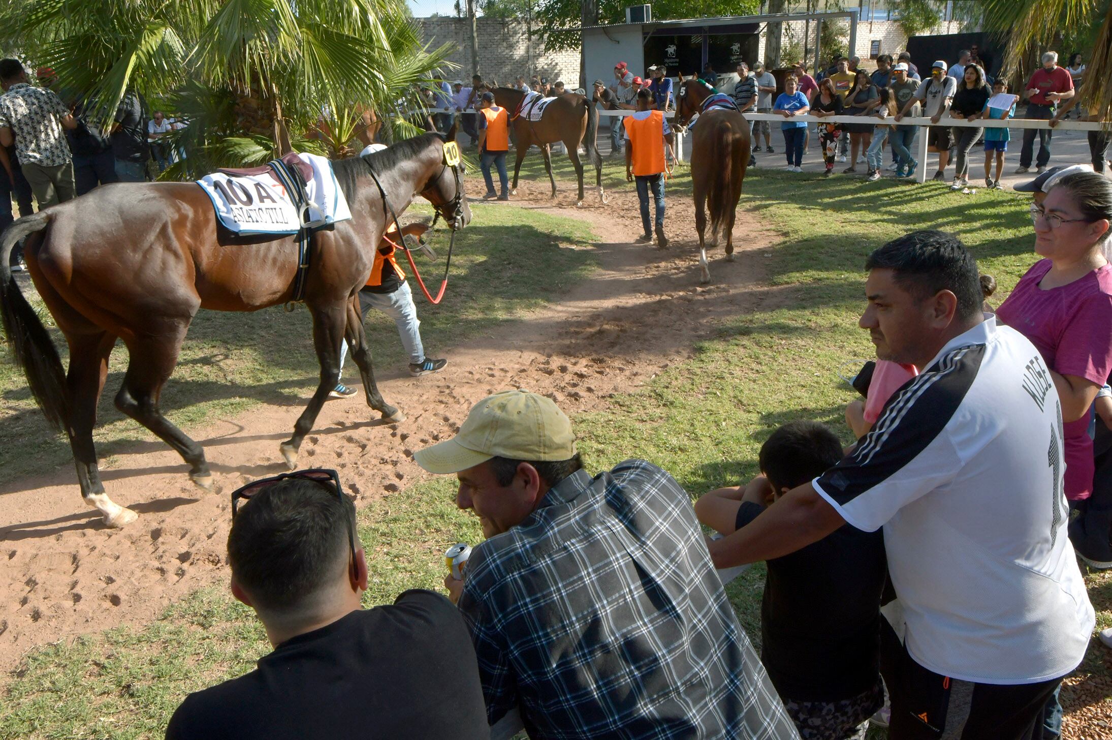 Foto: Orlando Pelichotti / Los Andes  