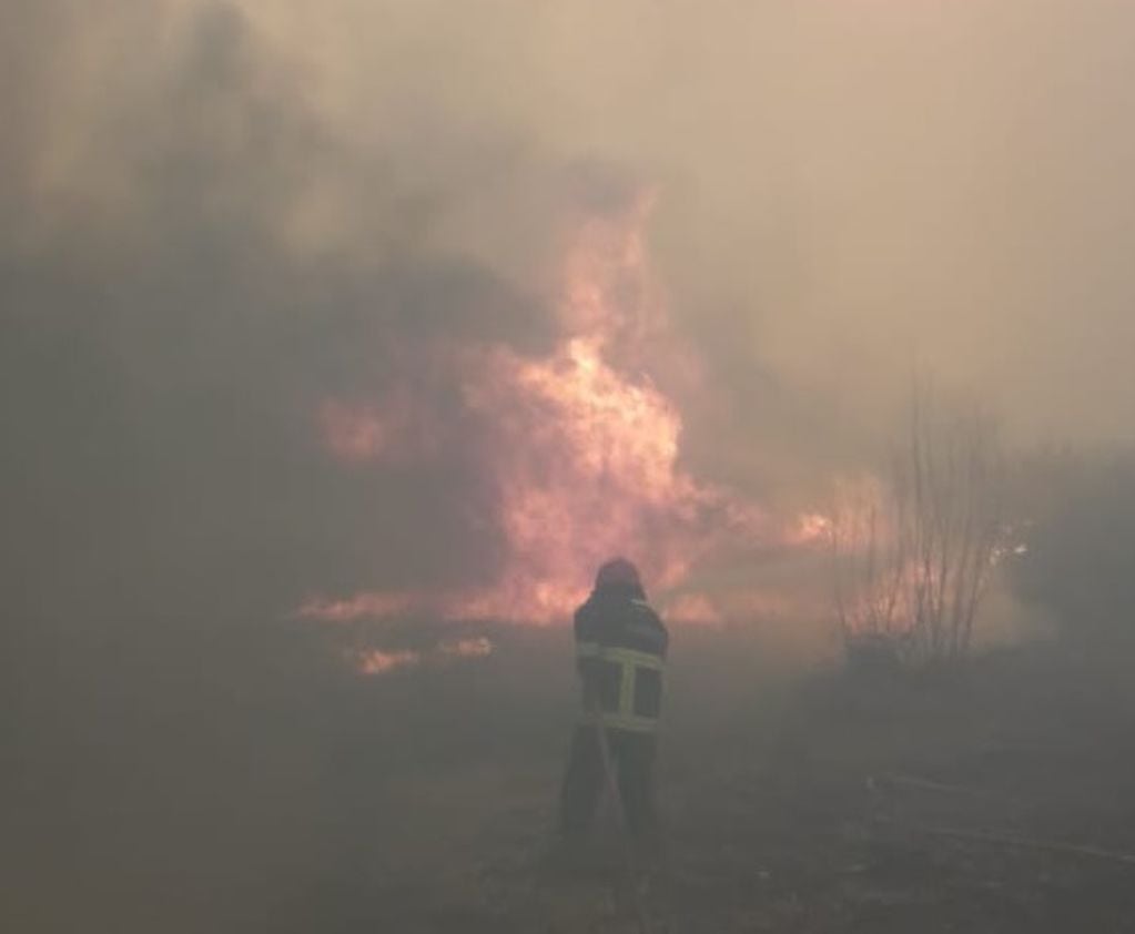 El viento Zonda provocó una gran cantidad de incendios en la provincia.