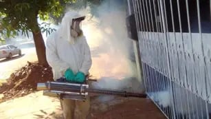 Aumento de casos de dengue en Posadas