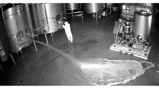 Una empleada derramó miles de litros de vino de una bodega.