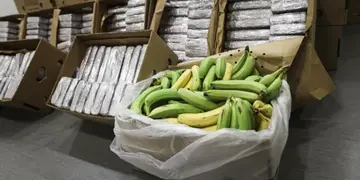 Cocaína en cargamento de bananas