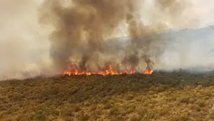 Aunque la Nación no envía fondos, Mendoza construirá 3 plantas para combatir incendios forestales. Foto: Secretaría de Ambiente de Mendoza.