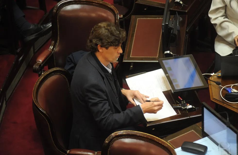 El senador Martín Lousteau - (Foto: Federico López Claro)