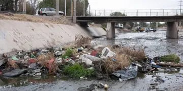 En un operativo de limpieza que realizó la Dirección de Hidráulica de Mendoza, retiraron 8 toneladas de basura del lugar, es decir 800.000 kilos de desechos del dique Papagayos