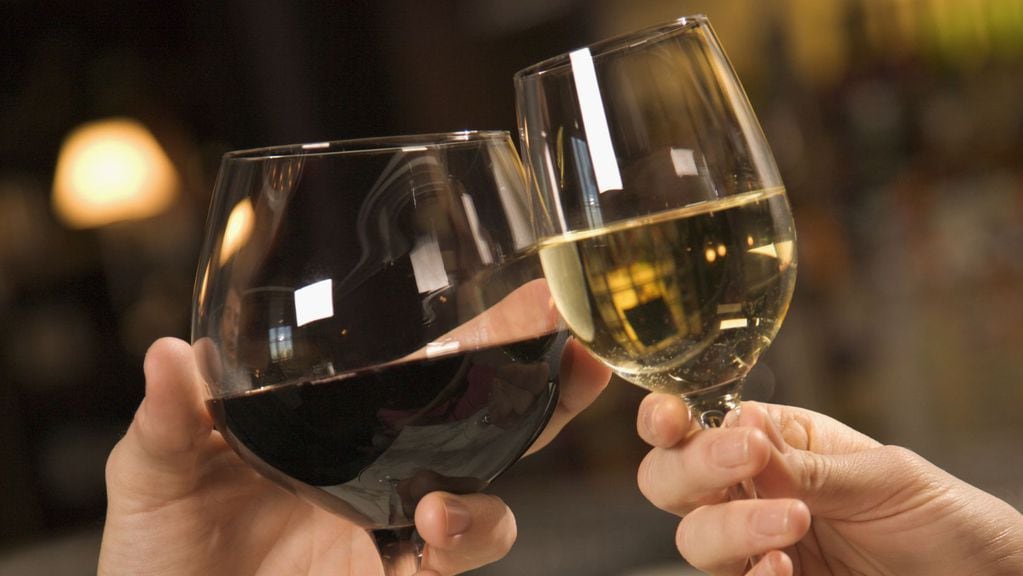 Durante la feria, vas a poder disfrutar de vinos ganadores del Concurso Nacional de Vinos Guarda 14 2023, así como también diversas bodegas de todo el país.