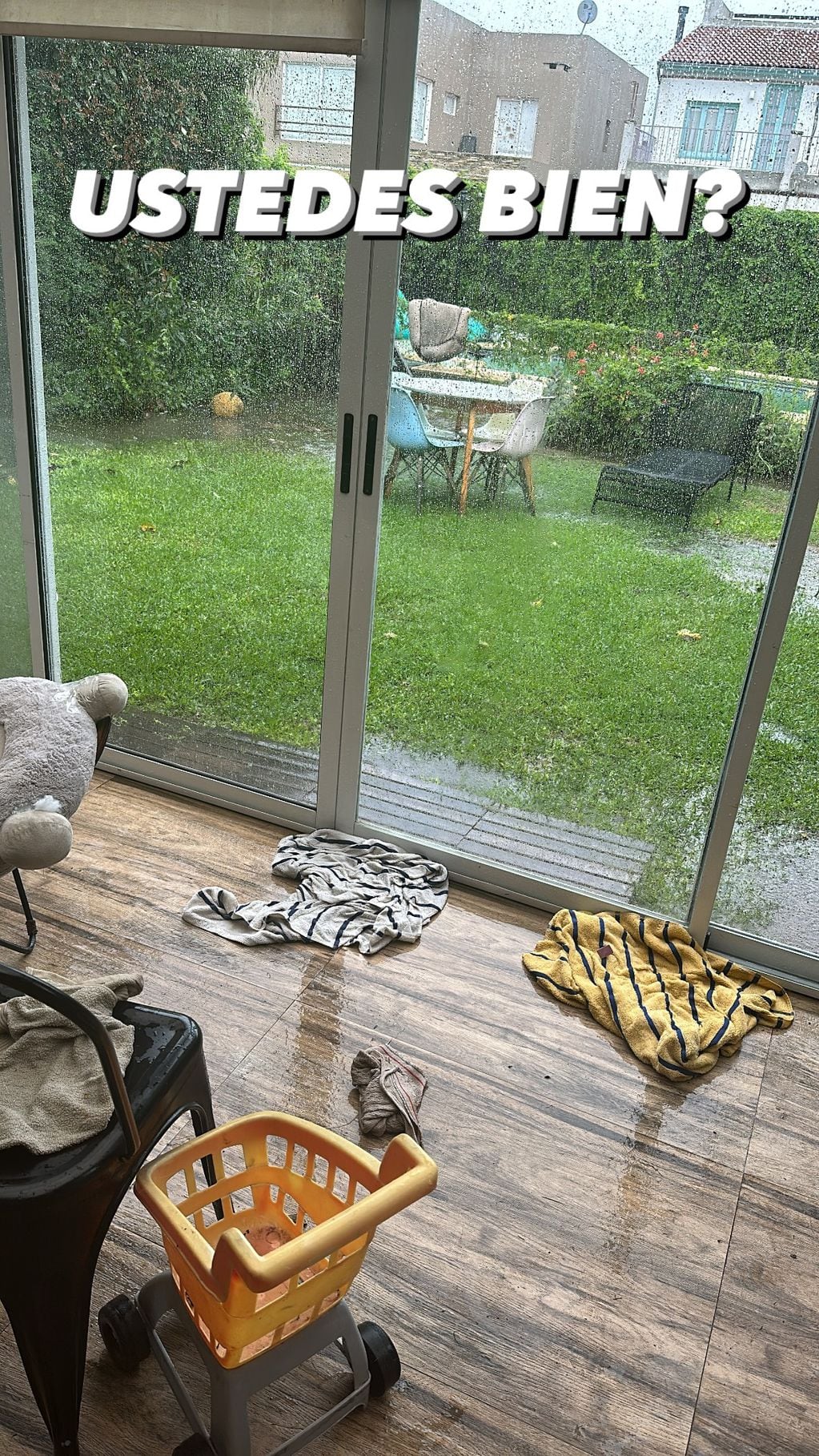 Juana Repetto mostró su casa tras el temporal. / Instagram